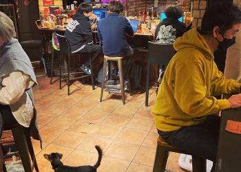 日本有間「催稿咖啡館」，店長不時前來催稿，而且寫完才能離開！