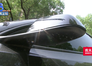 突然想做伸展操？Tesla Model Y 出現詭異後照鏡「外翻」Bug