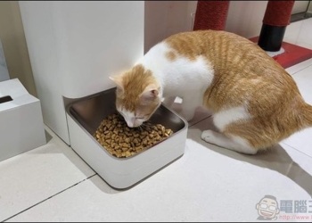 APP定時定量精準出糧、WIFI連接即時監控，小頑智慧寵物餵食器開箱