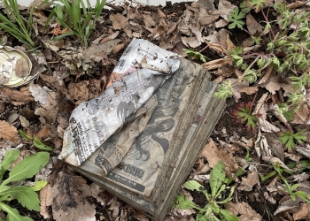 日本神人透過圖書館的書籍修復技術，重新讓老舊骯髒的情色漫畫復活