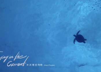 隨海龜翱翔，以歷代 iPhone 創作的〈洋流裡的飛翔〉想讓你找到自己的感官開關（創作訪談）