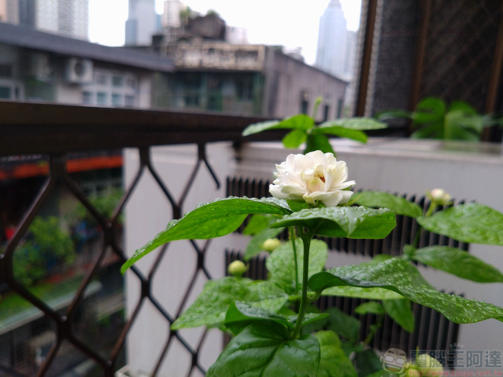 Sony Xperia 10 IV 開箱看重點：超乎想像的輕薄，超乎預期的續航力 - 電腦王阿達