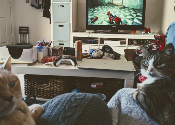 冒險遊戲《浪貓 stray》太過真實，令全球貓主子都沉迷其中