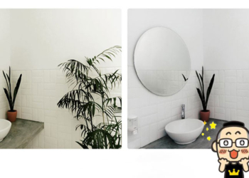 想要抹除照片上的雜物？ZMO 免費 AI 網頁版工具「Remover」幫你完成