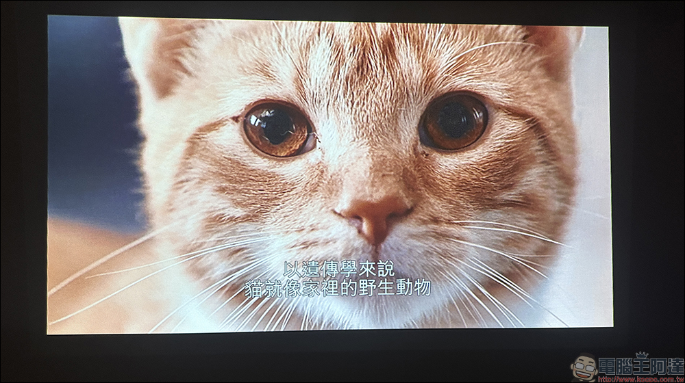 Warpple SP1 Pro 便攜智慧投影機開箱｜Pro 版升級 OVO TV OS 、同級頂規，亮度再升級！ - 電腦王阿達