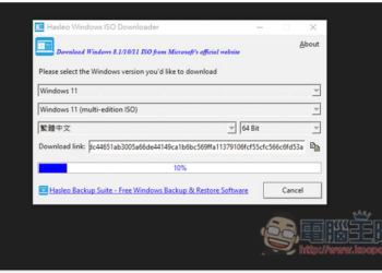 Hasleo Windows ISO Downloader 一鍵下載微軟官方 Win11/10/8.1 ISO 檔的免費軟體