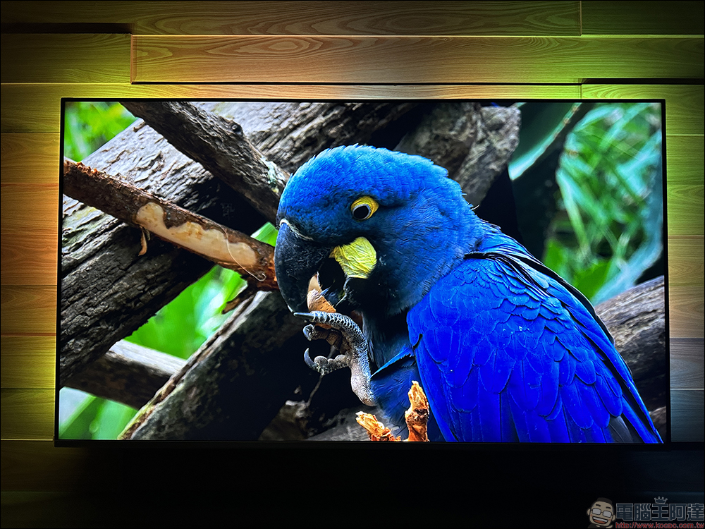 飛利浦 Philips 4K 智慧顯示器開箱｜4K 絕佳畫質、內建 Android TV 11 系統 ，搭配 Ambilight 帶來無可比擬的沉浸體驗 - 電腦王阿達