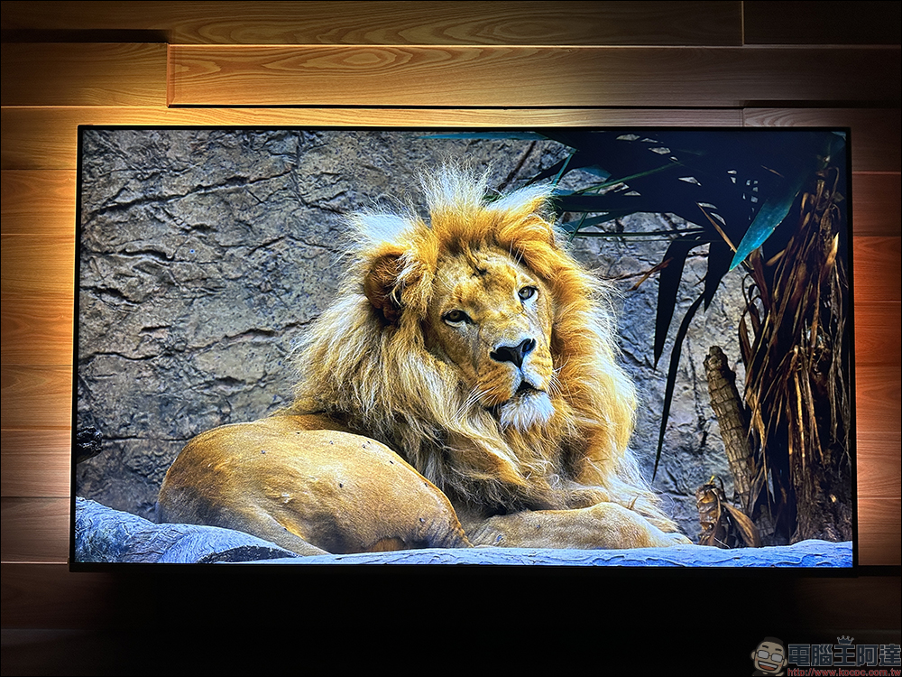 飛利浦 Philips 4K 智慧顯示器開箱｜4K 絕佳畫質、內建 Android TV 11 系統 ，搭配 Ambilight 帶來無可比擬的沉浸體驗 - 電腦王阿達
