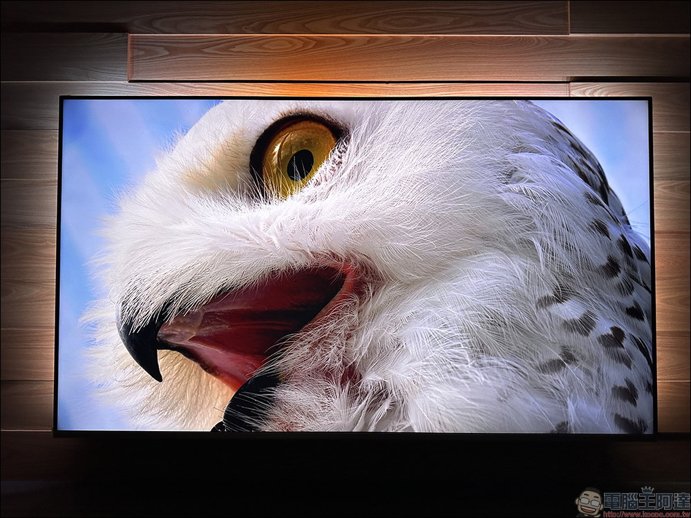飛利浦 Philips 4K 智慧顯示器開箱｜4K 絕佳畫質、內建 Android TV 11 系統 ，搭配 Ambilight 帶來無可比擬的沉浸體驗 - 電腦王阿達