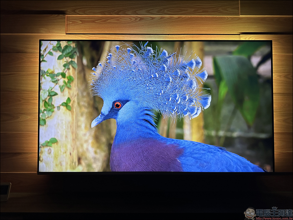 飛利浦 Philips 4K 智慧顯示器開箱｜4K 絕佳畫質、內建 Android TV 11 系統 ，搭配 Ambilight 帶來無可比擬的沉浸體驗 - 電腦王阿達