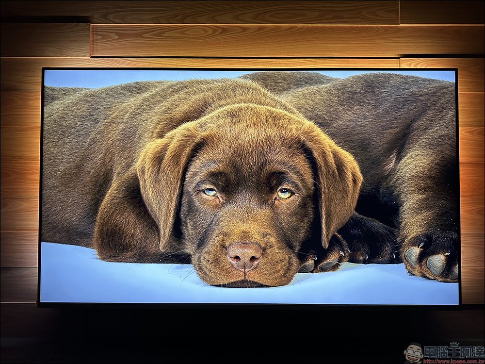 飛利浦 Philips 4K 智慧顯示器開箱｜4K 絕佳畫質、內建 Android TV 11 系統 ，搭配 Ambilight 帶來無可比擬的沉浸體驗 - 電腦王阿達