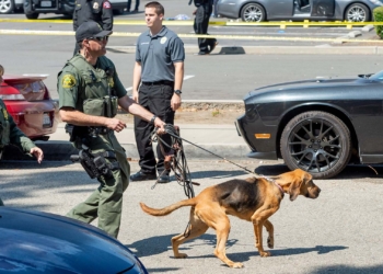 美國大學生為看任天堂直面會向學校警告當天會「出大事」，引發校方全面戒備加強維安