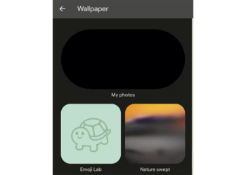 Android 14 Emoji Lab 創意表情符號桌布功能被搶先玩了（影片）