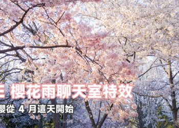 LINE 櫻花雨聊天室特效