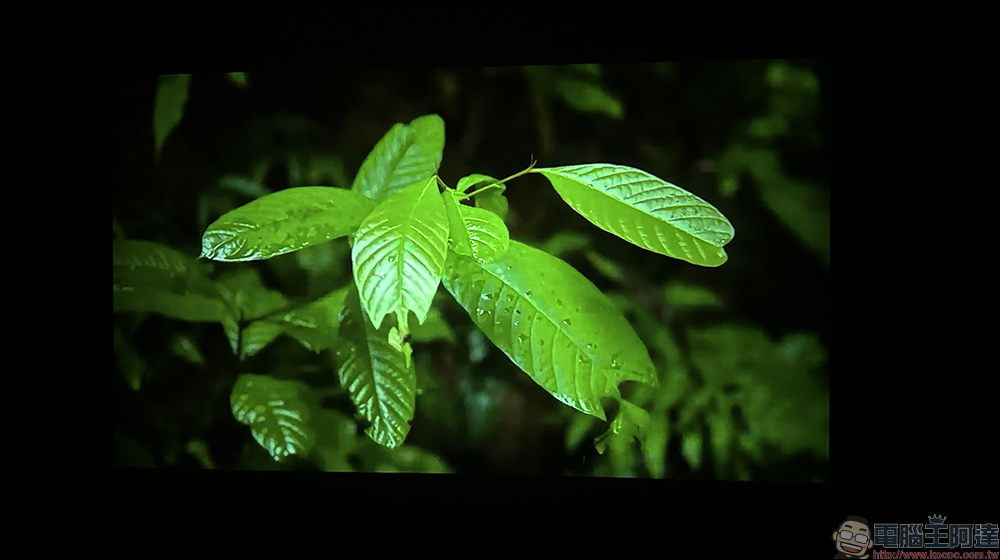 萬播 Wanbo 智慧投影機 T4 開箱｜AI 自動對焦、AI 自動校正， 1080p 解析度與 4K HDR10+ 解碼、450ANSI 流明高亮度 - 電腦王阿達