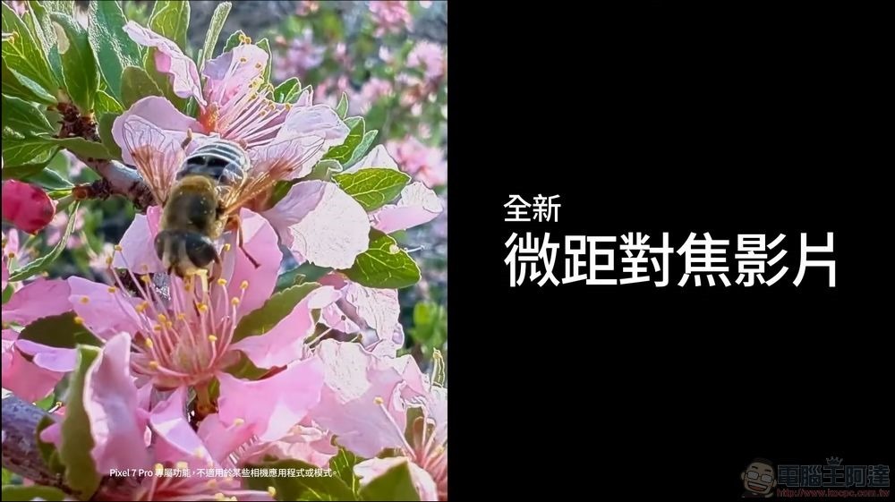 2023 年 6 月 Pixel 功能推送 0-11 screenshot