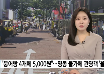 韓國觀光勝地路邊攤小販把觀光客當盤子敲，是否覺得熟悉？