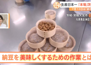你不知道的美味納豆的秘密！日本納豆製作妙招
