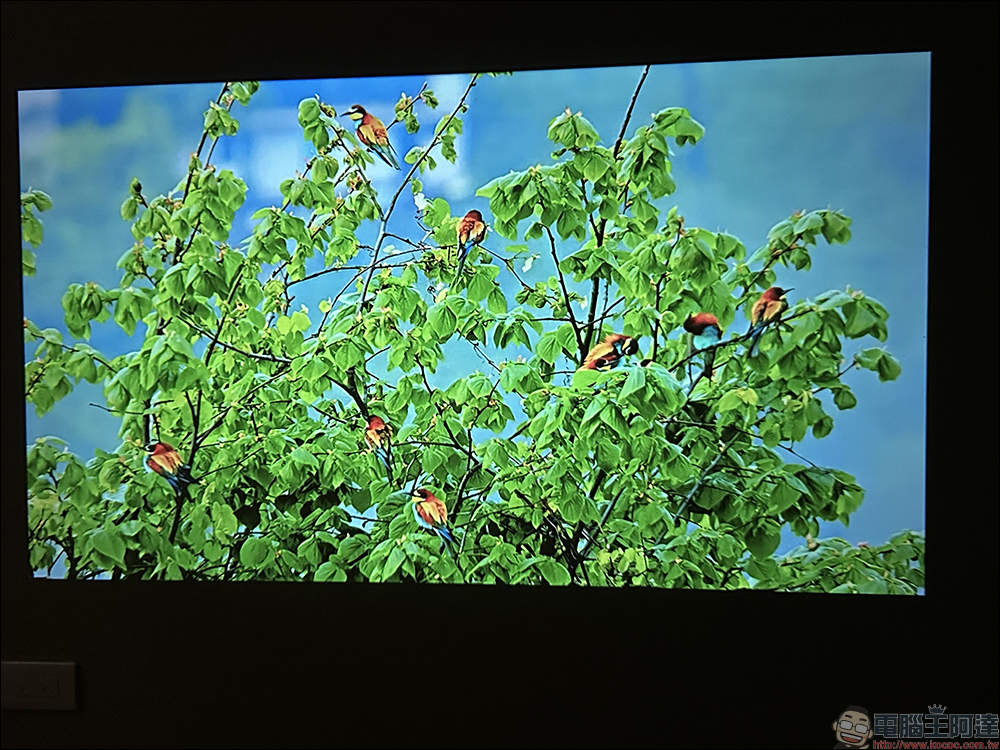 Warpple LS3 智慧投影機開箱｜首款升級最新 OVO TV OS 5，專為年輕族群打造的全方位高 CP 值投影機 - 電腦王阿達