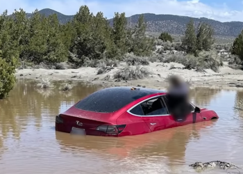 特斯拉 FSD 高速遇到大片積水會怎樣？Model 3 直接失控飛進池塘裡…