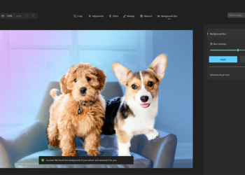 Windows 11 相片應用正在獲得景深模糊和動態照片的支援