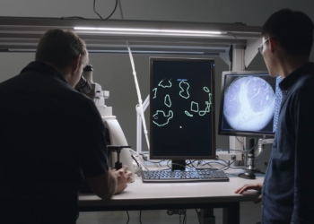 Google與美國國防部合作研發AI驅動顯微鏡助醫生鎖定癌細胞進行治療