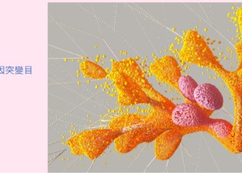 Google DeepMind公司使用AI來對7100萬種錯義突變進行分類，AlphaMissense幫助研究人員能夠一次預覽數千種結果