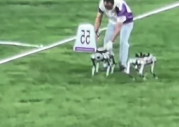 2023杭州亞運會出現機器狗，不只能搬運物品居然還會撒嬌