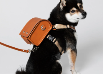 日本知名皮革老店即將推出寵物的皮革用品，連狗都有純皮書包