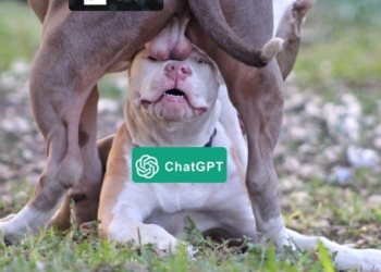 伊隆·馬斯克的人工智慧服務 Grok 被前夥伴諷刺 ! 讓馬斯克真的怒了