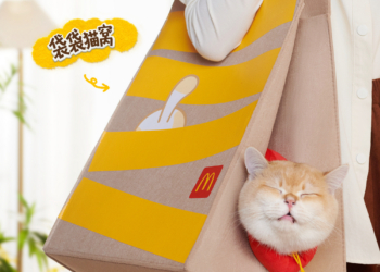 中國麥當勞推出可以把主子帶出門的「麥當勞貓窩」 貓奴們直呼好想要