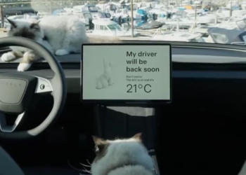 特斯拉表示寵物模式( Dog Mode )也適用貓咪用 !