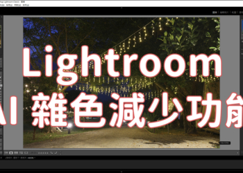 新版的 Lightroom AI 雜色減少功能，一鍵除噪點還能保有大量細節