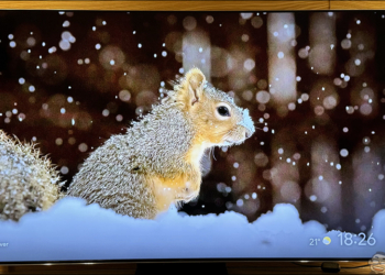 TCL 75吋 C755 QD-Mini LED Google TV 量子智能連網液晶顯示器開箱｜高畫質視覺傑作，親臨視覺饗宴