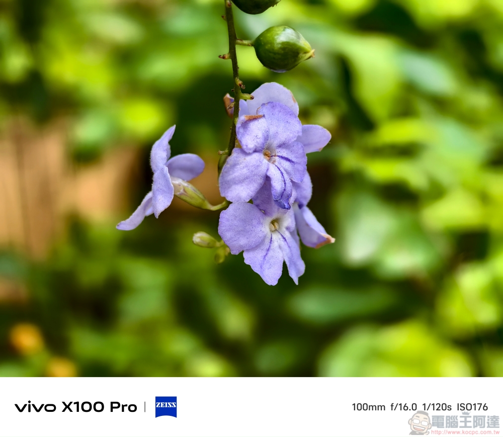 立下手機攝影新標竿！vivo X100 Pro 攝日旗艦全能實測分享 - 電腦王阿達