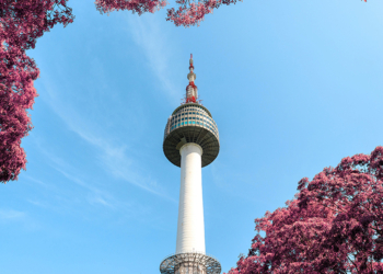 2024 韓國最新入境須知