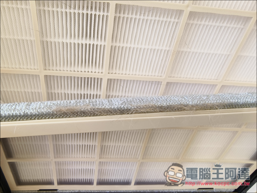 PHILIPS飛利浦【毛小奈】寵物抗敏空氣清淨機開箱：獨家浮毛濾淨科技，打造毛小孩的清新空氣天堂 - 電腦王阿達