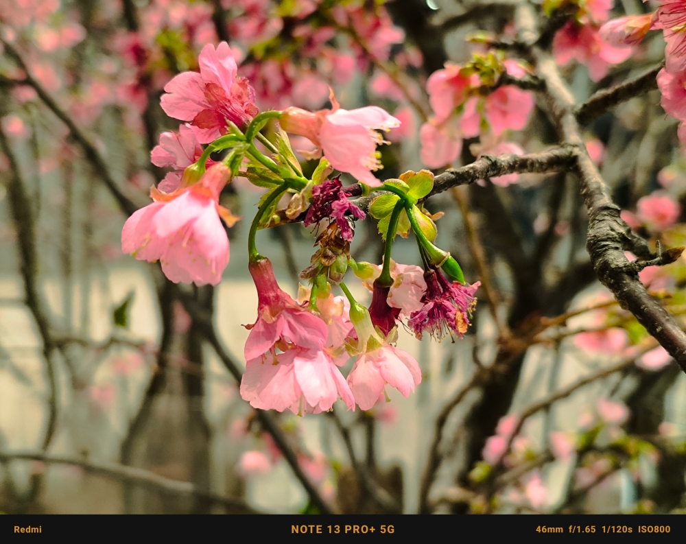 Redmi Note 13 Pro+ 5G 與 Note 13 Pro 5G 開箱！2 億畫素全能小金剛出擊，拍照、效能、續航都到位 - 電腦王阿達
