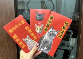 2025 農曆春節快到了，錢錢不夠心意來湊！自製 DIY 紅包袋教學、ibon 列印設定教學