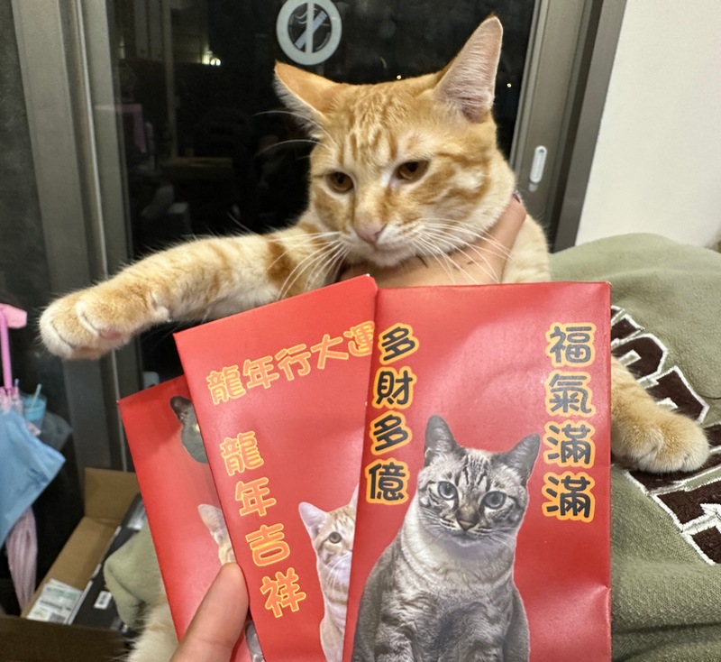 2025 農曆春節快到了，錢錢不夠心意來湊！自製 DIY 紅包袋教學、ibon 列印設定教學 - 電腦王阿達