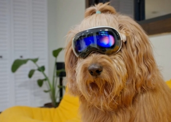 狗狗也能玩 Apple Vision Pro ？國外網友使用 Vision Pro 進行虛擬遛狗
