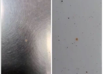 特斯拉的首席工程師出面表示出現在 Cybertruck 不銹鋼外殼的並不是銹斑，只是髒了