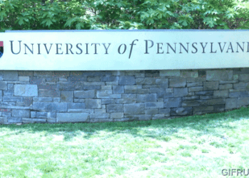 DrEureka 算法助力：機器狗克服模擬局限，瑜珈球上也能保持平衡