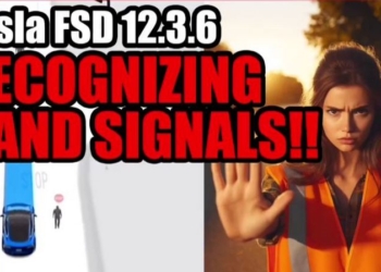 特斯拉 FSD 能辨識手勢？ 網友熱議究竟是巧合還是真有其事