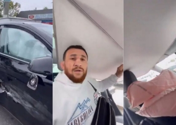 特斯拉安全防護再發威！嚴重連環車禍中護UFC戰將安然無恙