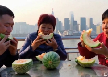 網友實測中國快手團隊打造的文字生成影片大模型 KLING