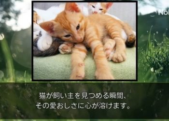 日本 AI 影片生成工具「NoLang 2.0」，一分鐘搞定影片製作