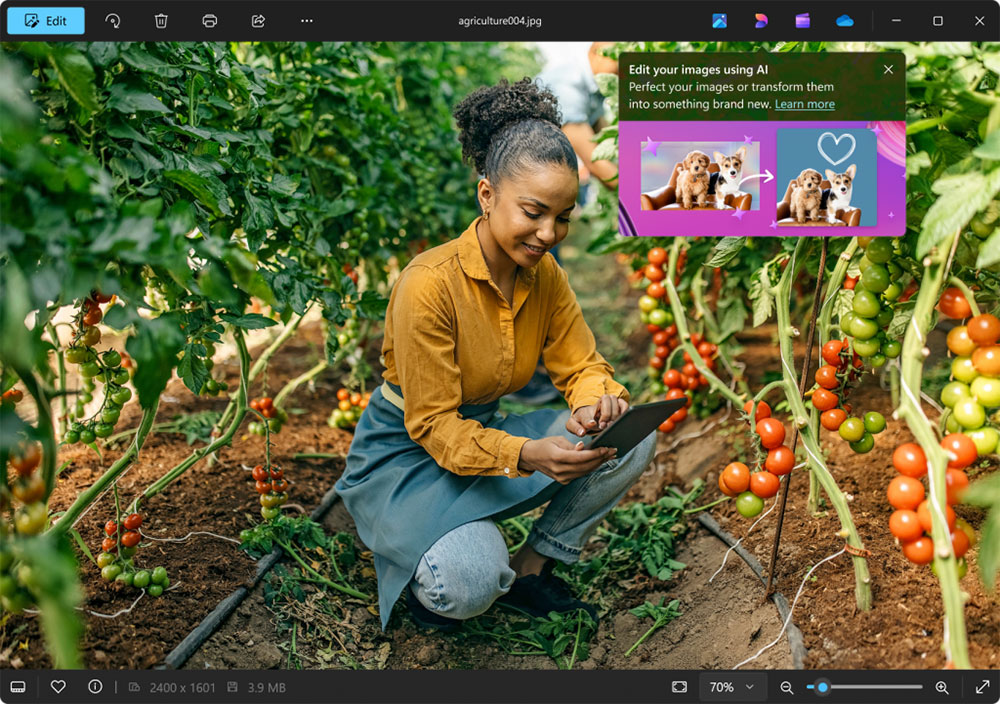 Windows 相片應用在最近更新中獲得更厲害的 AI 工具增強 - 電腦王阿達