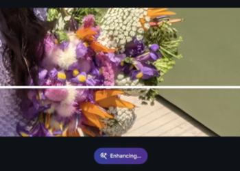 等了一年，Pixel 8 Pro 說好的 Zoom Enhance 變焦增強 AI 編修功能隨著 Pixel 9 Pro 來了