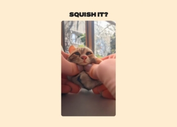 影片生成模型 Pika 更新 PIKA 1.5 版本，帶來 10 種 Pikaffects 特效